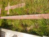 image of grave number 808927